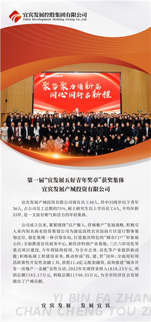宜發(fā)展產(chǎn)城投資.JPG