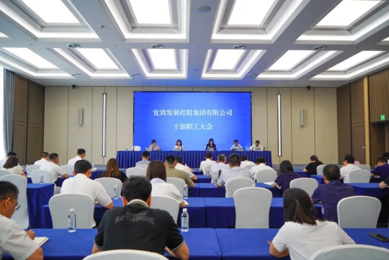 230901宜發(fā)展集團(tuán)公司專題傳達(dá)習(xí)近平總書記對(duì)四川涼山州金陽縣山洪災(zāi)害作出的重要指示精神及省市會(huì)議精神145.png